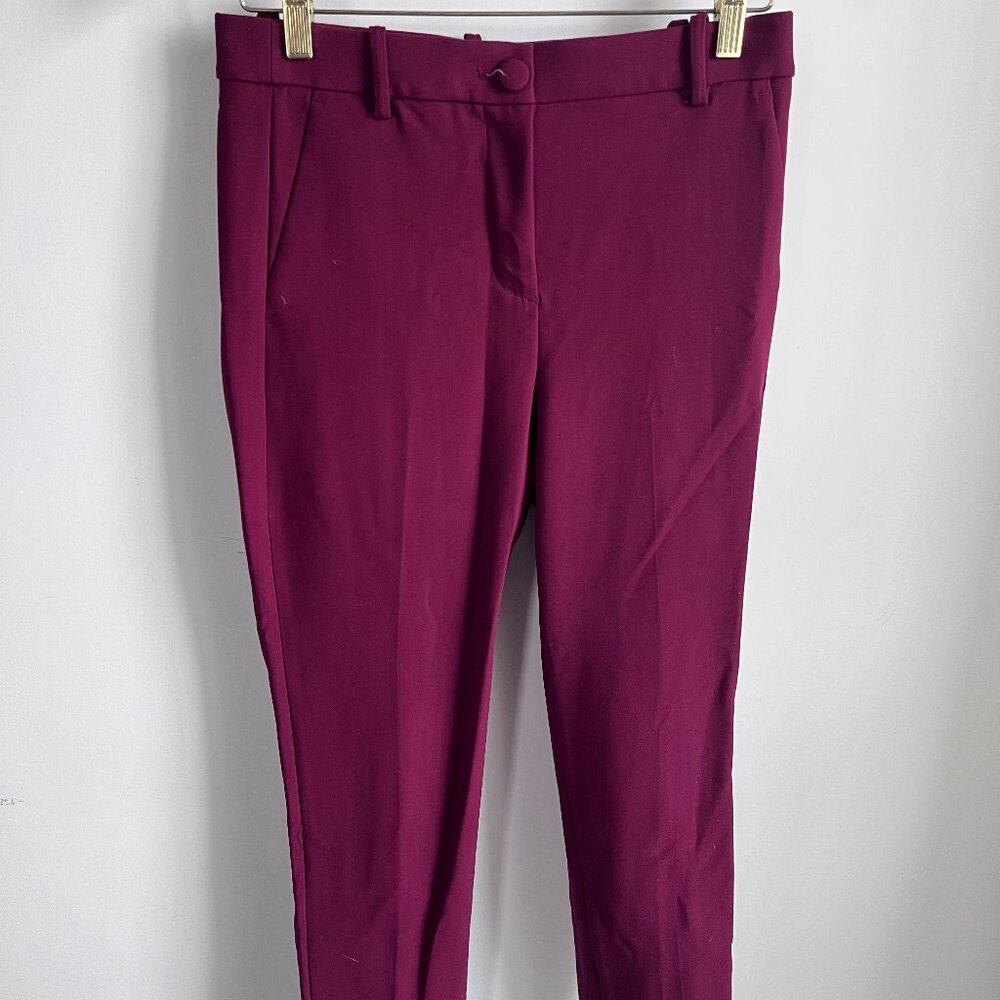 J. CREW 365 Straight Leg Flat Front Polyester Cameron Pant Size 6